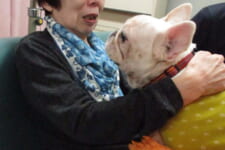 介護老人福祉施設 サンライズ北九州|2025.11.17 ドッグセラピー🐶