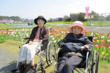 介護老人福祉施設 サンライズ北九州｜2026.04.17 直方チューリップ🌷