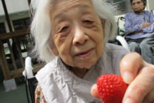 介護老人福祉施設 サンライズ北九州｜2026.07.26 🍓いちご狩り🍓